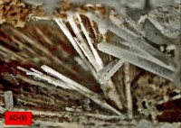 /album/galerie-photos/ossun-dipyre-ao-8614-mod2-jpg1/